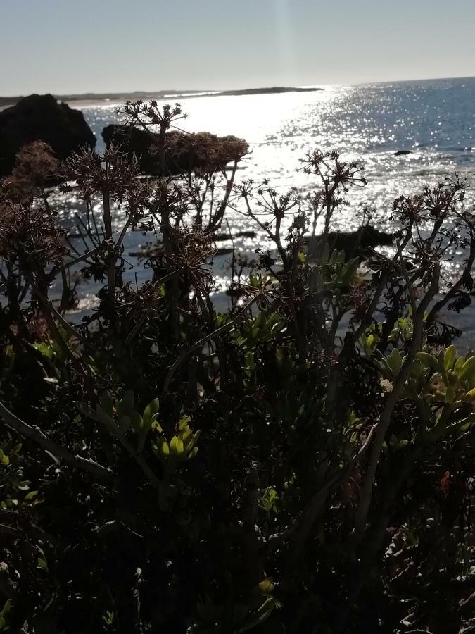 Sardinia For You Oristano Extérieur photo